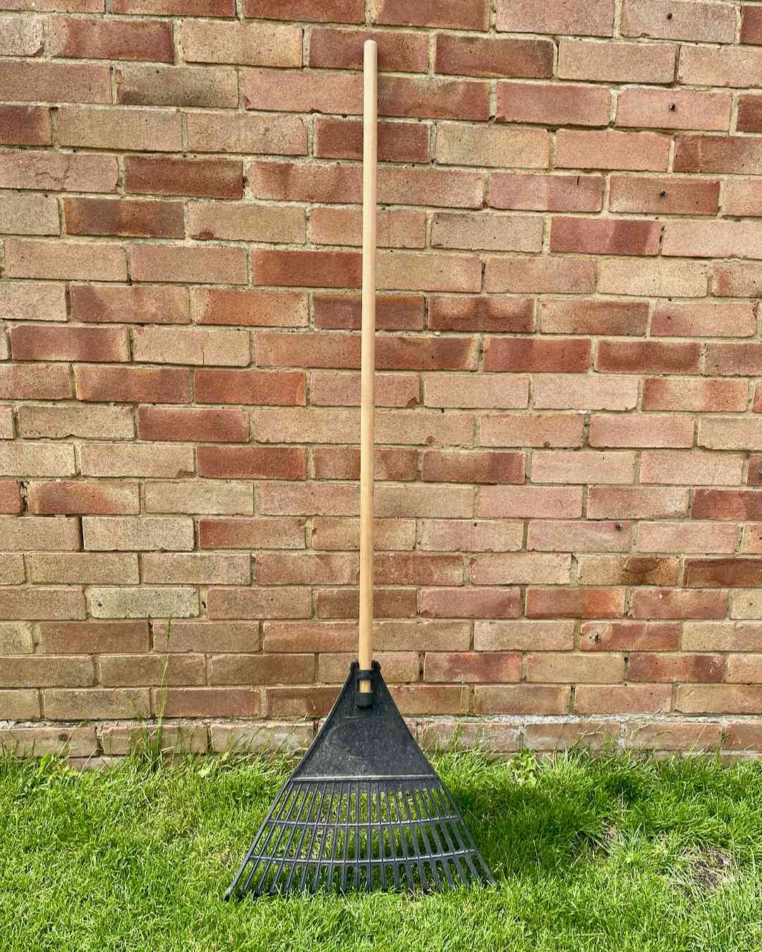 Garden Lawn Leaf Rake (20 Tooth)