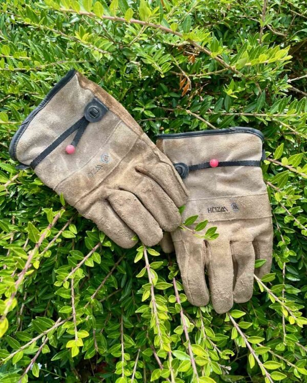 Pair of coffee-grey WZQH thick cowhide leather safety gloves resting on a shrub.