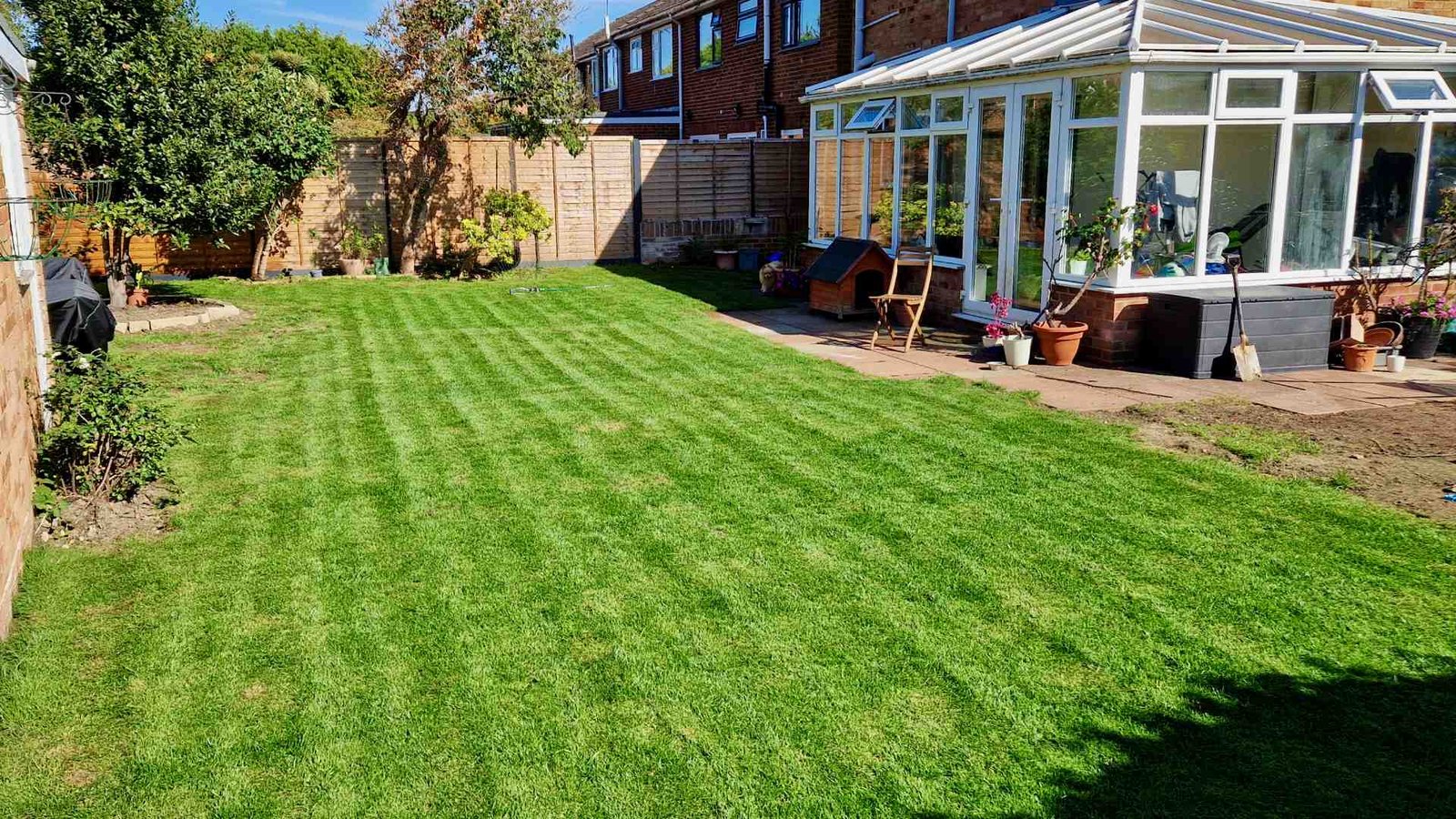 Our Surrey Lawn After Establishing | September 2025 The established family lawn in our Surrey garden during September 2025 after the newly laid turf had rooted and received several cuts.