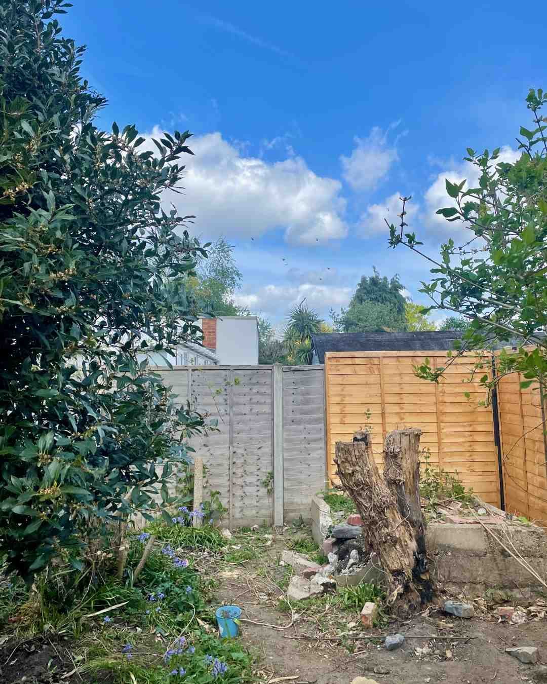 The Forgotten Corner Overgrown corner of a Surrey garden before renovation, showing an old tree stump, broken raised bed and ageing fencing.